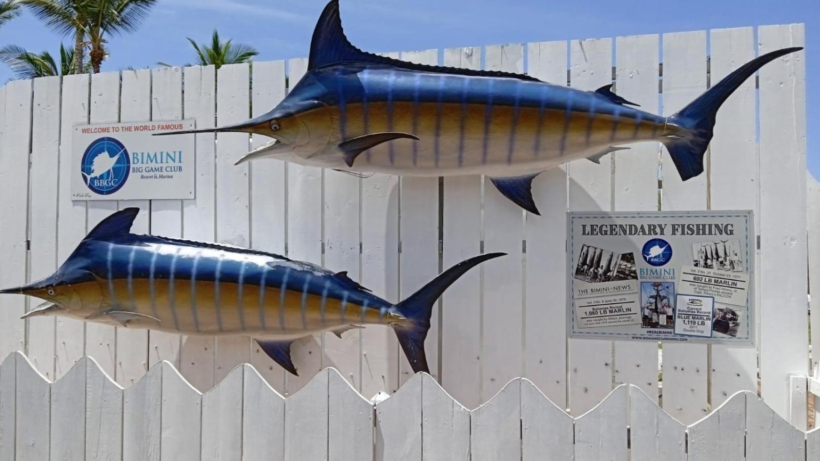 Bimini Big Game Club Resort & Marina Alice Town  Exteriér fotografie