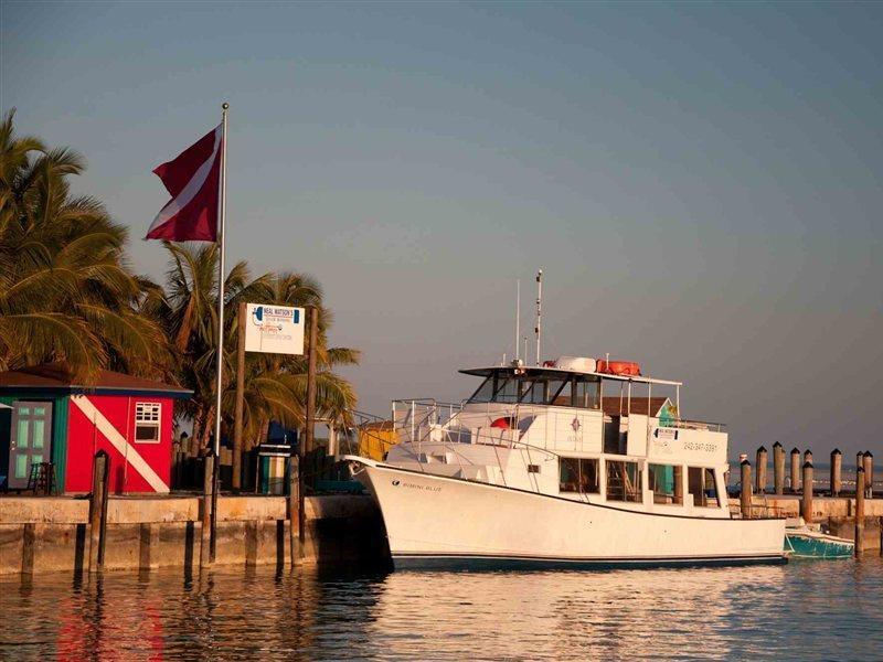 Bimini Big Game Club Resort & Marina Alice Town  Vybavení fotografie