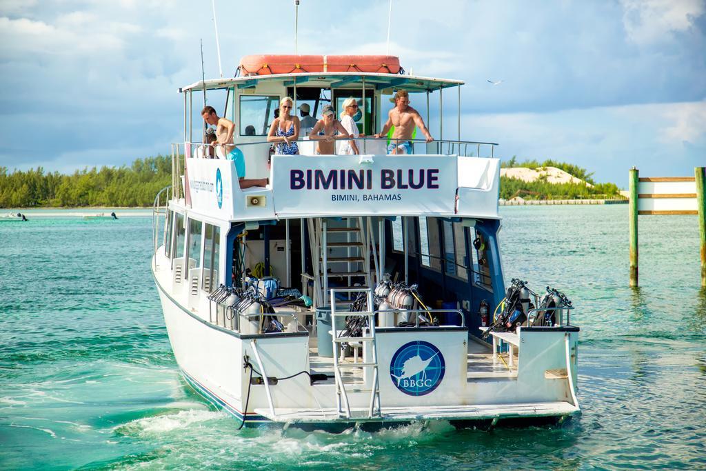 Bimini Big Game Club Resort & Marina Alice Town  Exteriér fotografie